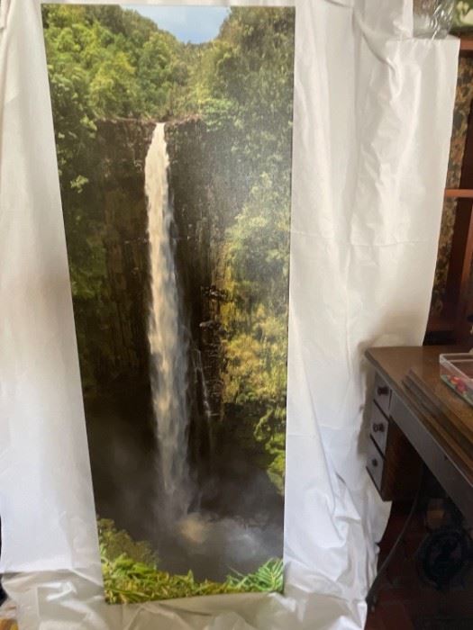 Hawaii, The Big Island, Akaka Falls State Park