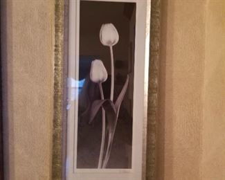 framed picture tulip