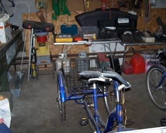 THE OTHER THREE-WHEELER