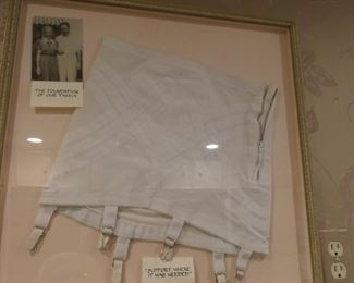Amusing framed corset.