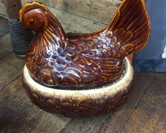 McCoy hen on the Nest