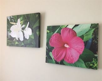 Floral paintings.