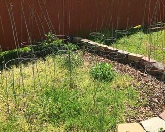 Tomato stakes.
