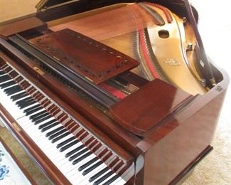 INSIDE PIANO (THE WOODEN ROD NEEDS REPAIRED)