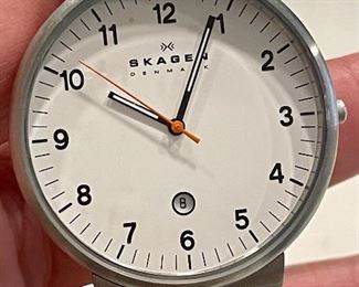 Item 189:  Skagen Watch (model SKW6024):  $80
