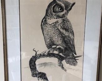 Owl pen & ink