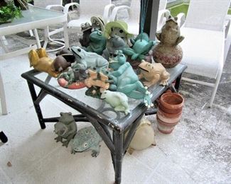 Hydro table full of frogs