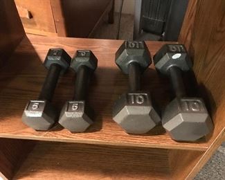 5 and 10 lb Weights