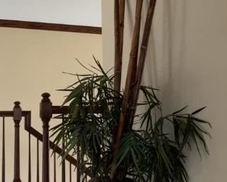 Vase w Bamboo  Artificial Plant. Mint Condition. 