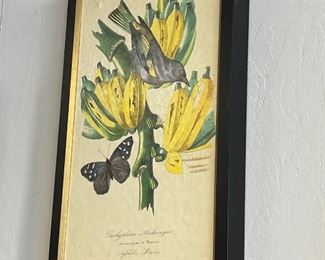 Phoenix art group $50