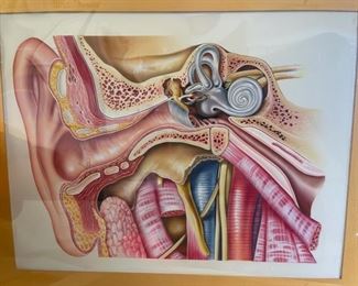 Some of the incredible commercial art work done by our client’s father