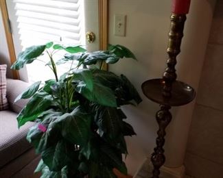 Large brass candlestick and plant