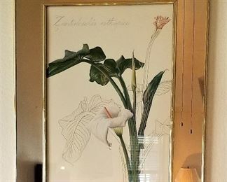 Mirrored Calla Lily flower art. Hence the reflections in the photo!