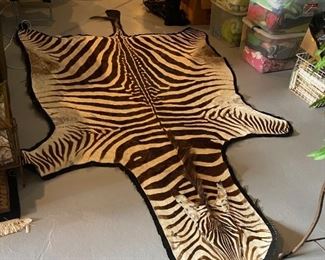 Zebra skin rug