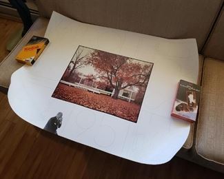 Mies Van der Rohe Farnsworth House Landmarks.org poster,