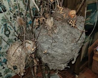 $100.00, Vintage wasp nest in pot