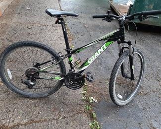 Giant Bike