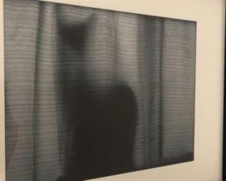 Connor Grove Framed Black White Photo Cat Behind Curtain