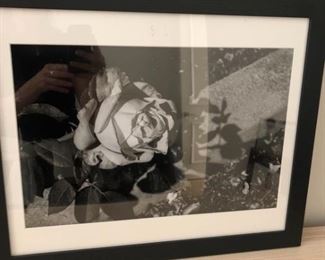 Connor Grove Framed Black White Rose Photo