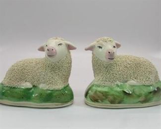Staffordshire Lambs