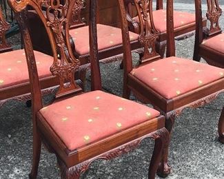 Six beautiful chippendale style chairs