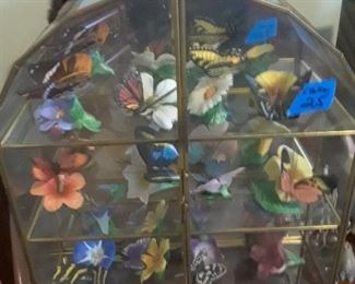 Glass case and butterfly collection