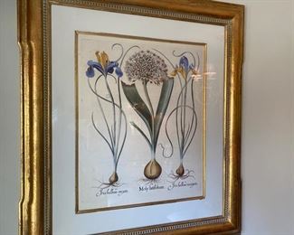Lot #2  $400.00 Pair of Trowbridge Gallery botanical prints frame size 32 1/2"h x 29"w