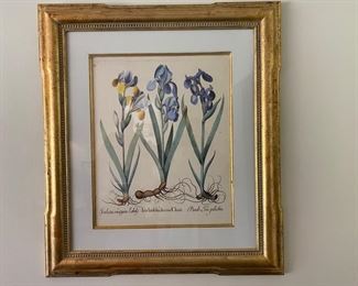 Lot #2   $400.00 Pair of Trowbridge Gallery botanical prints frame size 32 1/2"h x 29"w