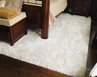 Large Area Rug