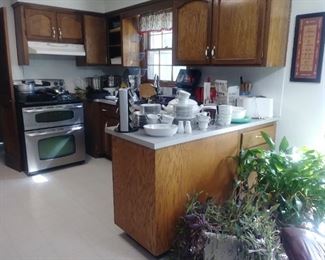 Full kitchen, plants for sale