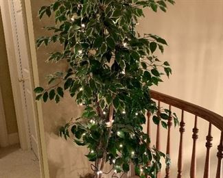 Artificial Ficus Tree with Lights