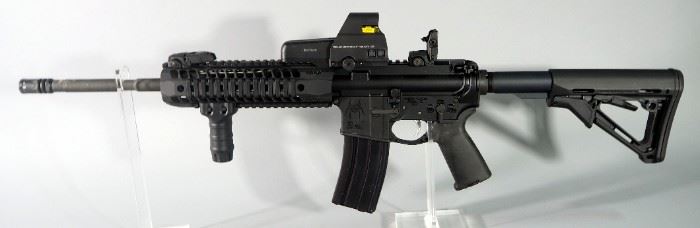 Spike's Tactical ST15 .223 REM Rifle SN# 91653, With L3 EOTech Sight, Front Pistol Grip, Adjustable Stock, 2 Total Mags