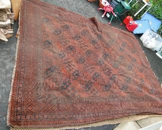 Bakara Carpet