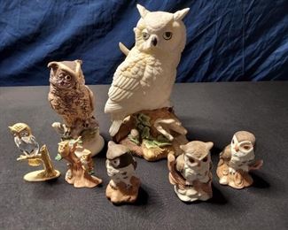 Owl Collection