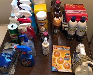 Numerous household cleaning products and supplies.