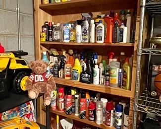 TONS of cleaning supplies, lawn chemicals, paints, spray paints, car cleaning items, etc