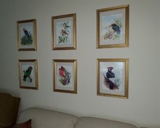 Bird prints - set of 6