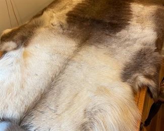 Caribou hide