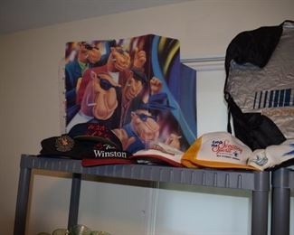 Racing Sun Shields for your car