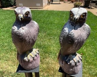 Pair of garden hawks