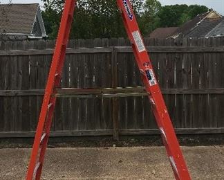 Werner 10 ft Fiberglass Ladder