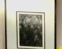 Ansel Adams photo reprints