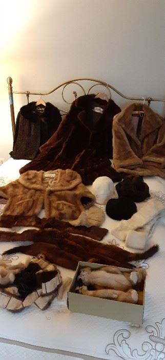 Projansky Fur Coats, Collars, Hats