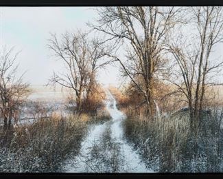 David Zlotky The Road Less Traveled Photograph