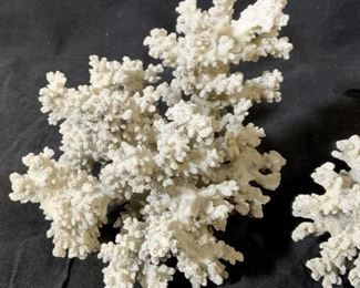Group Lot White Coral Clusters
