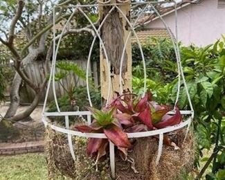 Hanging Plant Holder
