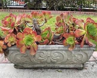 Concrete Planter of Succulents