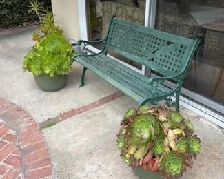 Potted Plants in Green Pots