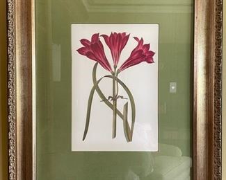 Pair of Pink Flower Prints, 19"W 23"H. Photo 1 of 2