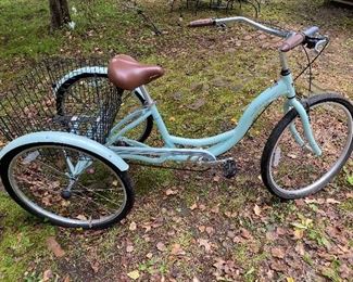 Schwinn Meridian Adult Bicycle